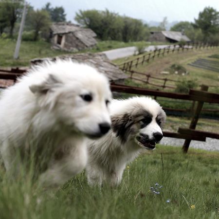 Agriturismo A Nostro Mizoun Ostana Zewnętrze zdjęcie