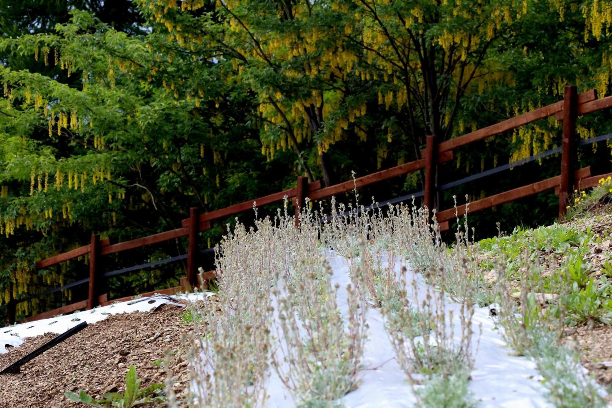 Agriturismo A Nostro Mizoun Ostana Zewnętrze zdjęcie